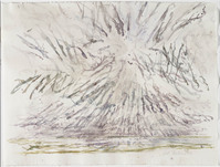 KT 2006 112
          <br/>
          Boven de Waal, westenwind
          <br/>
          <em>Ouden, Willem den (1928)</em>